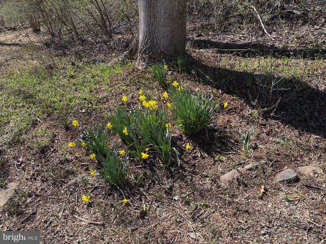 7857 HAZELAND LN, Boston, VA 22713