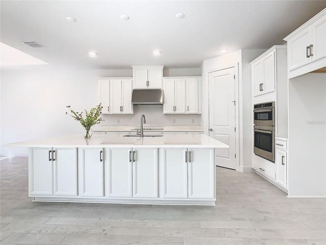 195 CASAVISTA DRIVE, Kissimmee, FL 34759