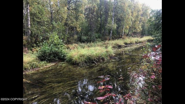 No Road E Walsted Drive, Remote, Talkeetna, AK 99676
