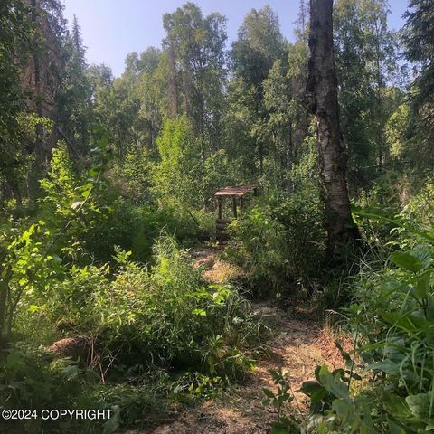 No Road E Walsted Drive, Remote, Talkeetna, AK 99676