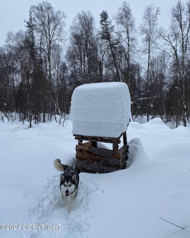 No Road E Walsted Drive, Remote, Talkeetna, AK 99676