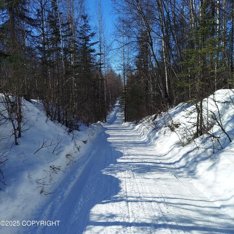 No Road E Walsted Drive, Remote, Talkeetna, AK 99676