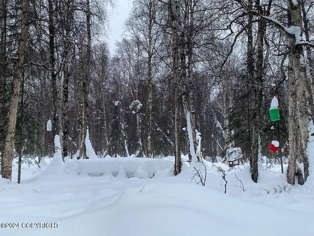 No Road E Walsted Drive, Remote, Talkeetna, AK 99676