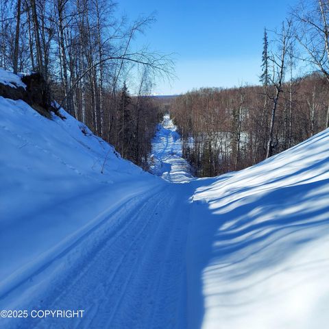 No Road E Walsted Drive, Remote, Talkeetna, AK 99676