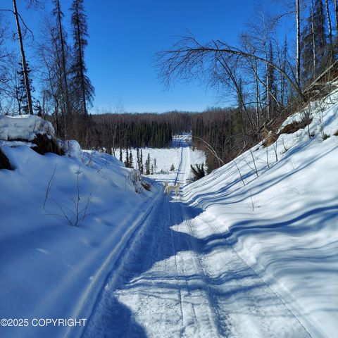 No Road E Walsted Drive, Remote, Talkeetna, AK 99676