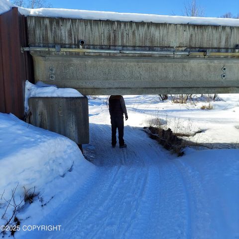 No Road E Walsted Drive, Remote, Talkeetna, AK 99676