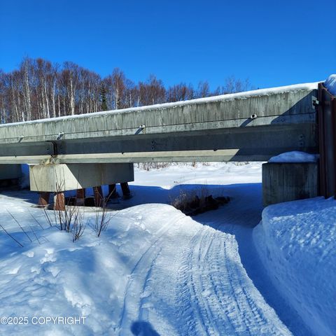 No Road E Walsted Drive, Remote, Talkeetna, AK 99676