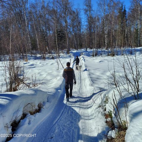 No Road E Walsted Drive, Remote, Talkeetna, AK 99676