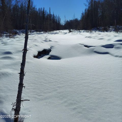 No Road E Walsted Drive, Remote, Talkeetna, AK 99676