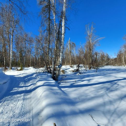 No Road E Walsted Drive, Remote, Talkeetna, AK 99676