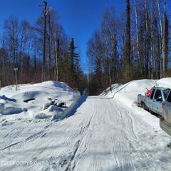 No Road E Walsted Drive, Remote, Talkeetna, AK 99676
