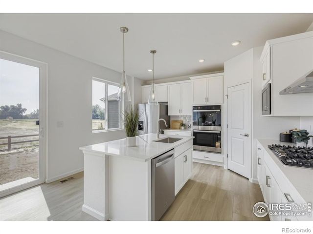 7337 Swan River Street, Frederick, CO 80530