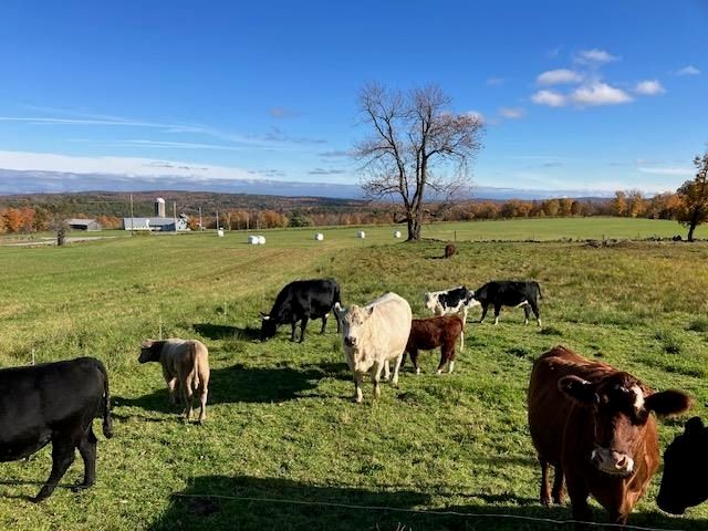 1192 Chapel Hill Road, Whitingham, VT 05361