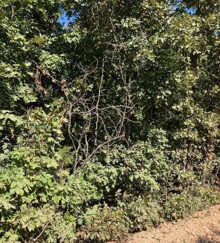 3801 Young Road, Salem, AR 72576