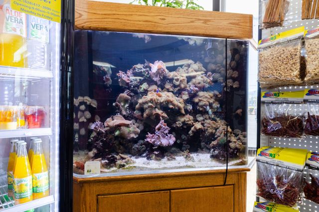 535 Stevens Street A, Medford, OR 97504