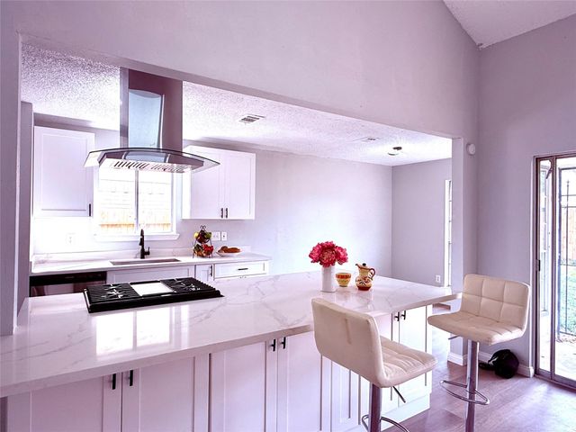 12071 Plumbrook Drive, Houston, TX 77099