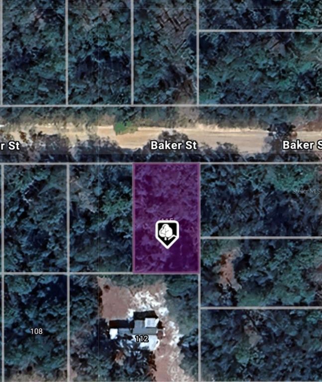 LOT 8 BAKER STREET, Interlachen, FL 32148