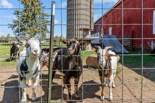 15431 JAMBO CREEK ROAD, Mishicot, WI 54228