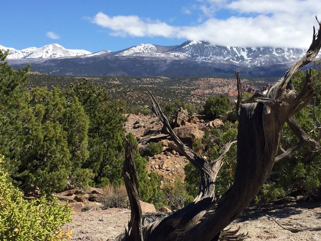 Image 1 of property listing at 57 W KANE CANYON DR17, Moab, UT 84532
