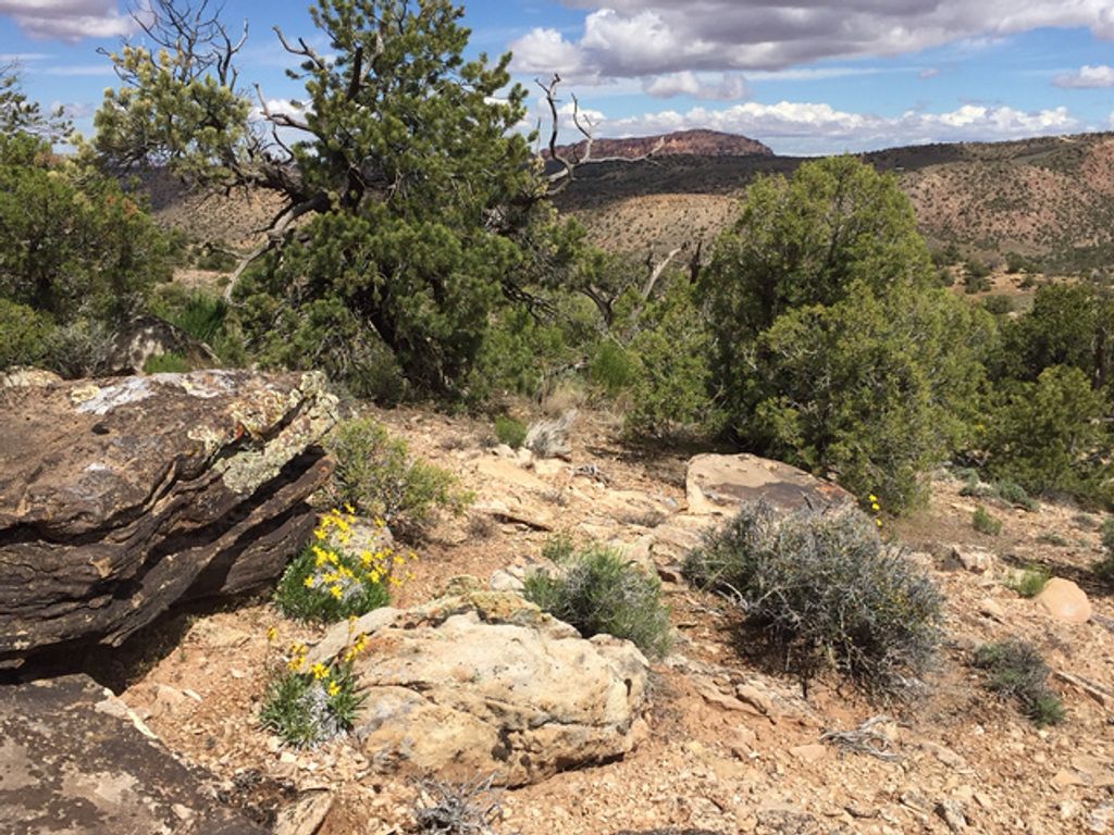Image 2 of property listing at 57 W KANE CANYON DR17, Moab, UT 84532