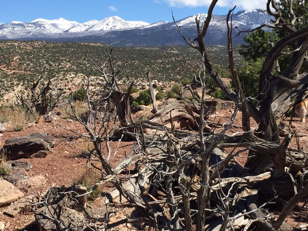 Image 3 of property listing at 57 W KANE CANYON DR17, Moab, UT 84532