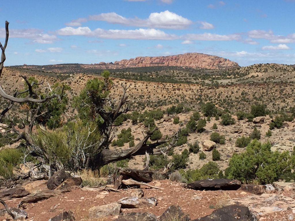 Image 4 of property listing at 57 W KANE CANYON DR17, Moab, UT 84532
