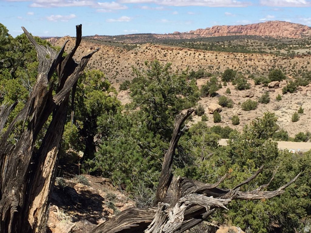 Image 5 of property listing at 57 W KANE CANYON DR17, Moab, UT 84532