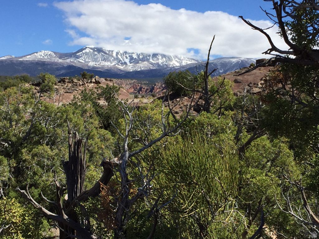 Image 8 of property listing at 57 W KANE CANYON DR17, Moab, UT 84532