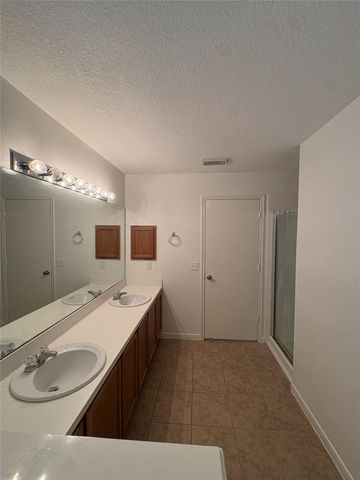 17511 Hoover Gardens Drive, Houston, TX 77095