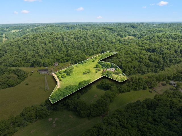 8663 Dog Branch Rd, Mount Pleasant, TN 38474