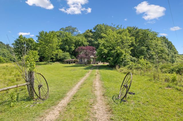 8663 Dog Branch Rd, Mount Pleasant, TN 38474