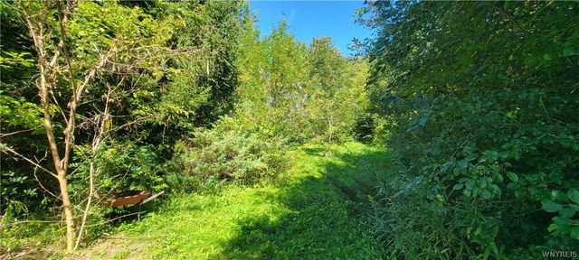 906 Oneida Street, Lewiston, NY 14092