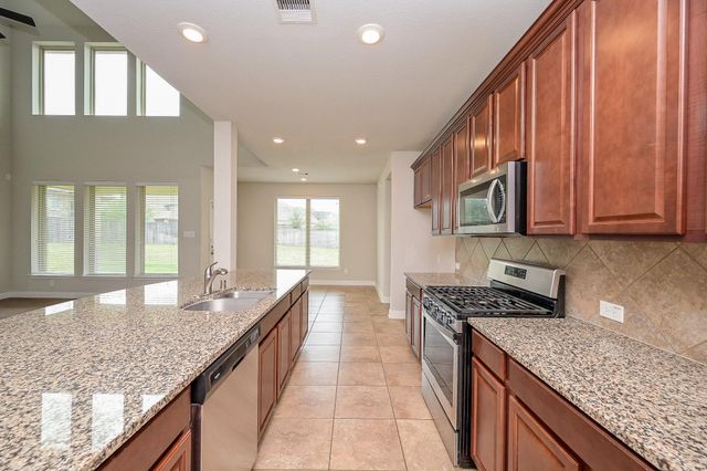 7 Florentino Vine Place, Magnolia, TX 77354