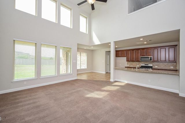 7 Florentino Vine Place, Magnolia, TX 77354