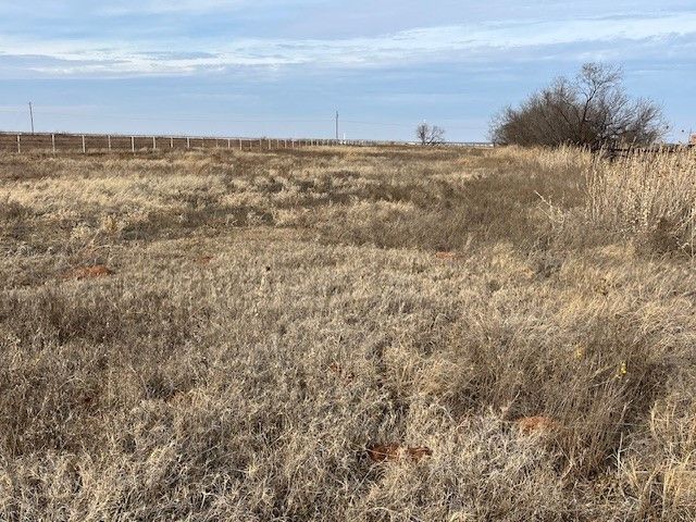 294 State Highway 70 S, Roby, TX 79543