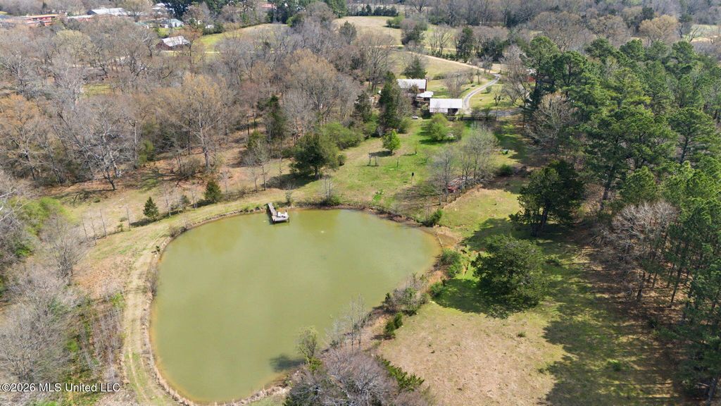 392 Sycamore Road, Coldwater, MS 38618 — photo 2