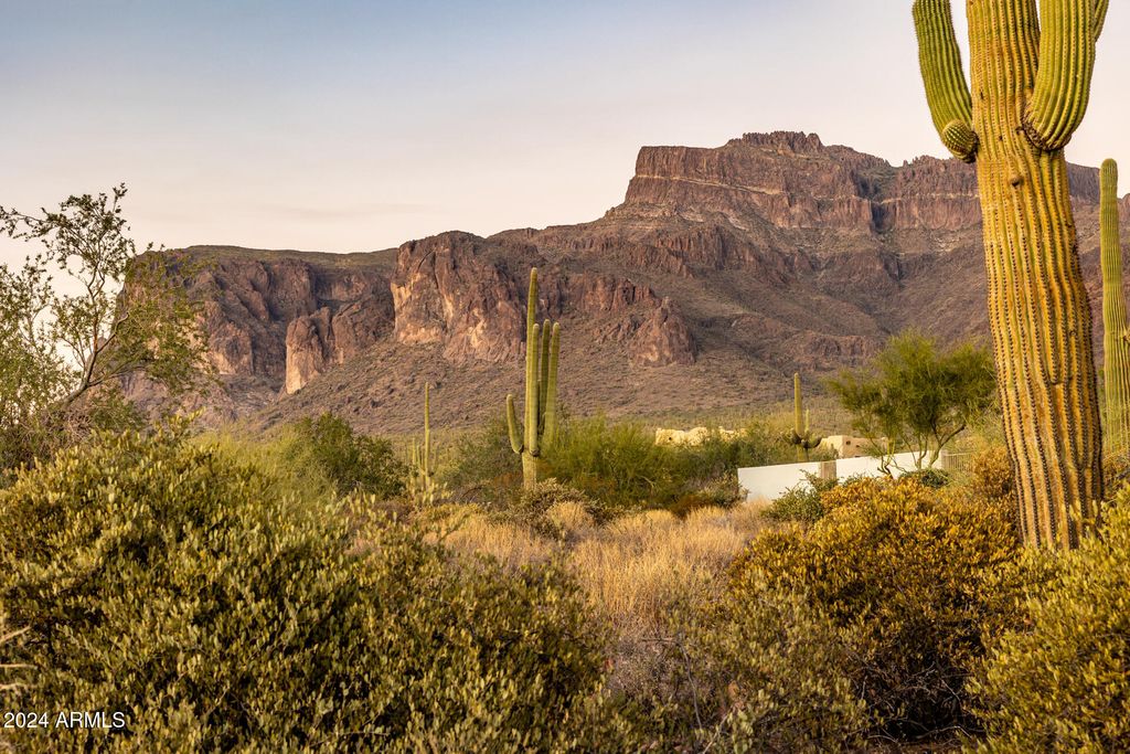 7255 E GRAND VIEW Lane 86, Gold Canyon, AZ 85119 — photo 4