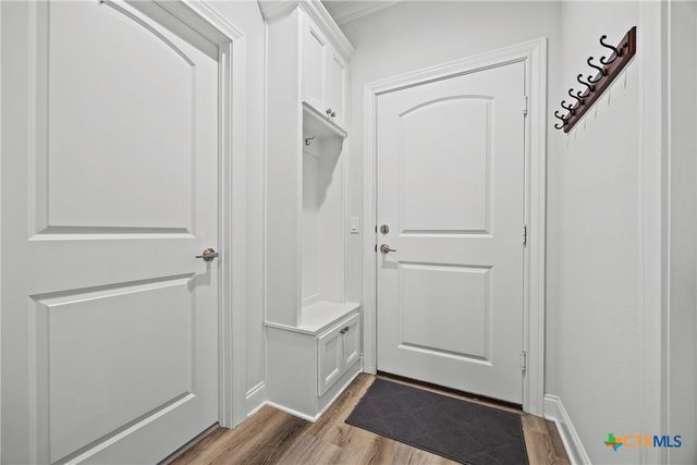 10317 Fallen Leaf Drive, Waco, TX 76712