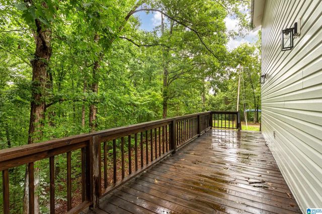 293 STARVIEW DRIVE, Jacksonville, AL 36265
