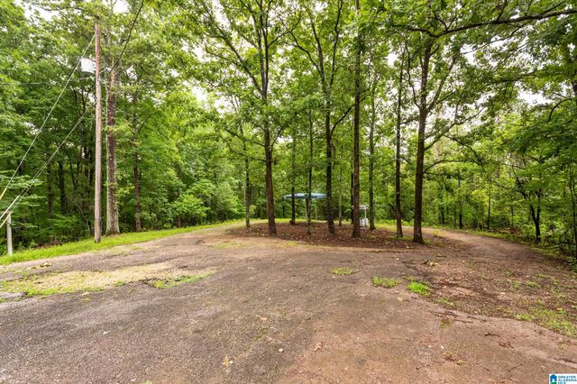293 STARVIEW DRIVE, Jacksonville, AL 36265