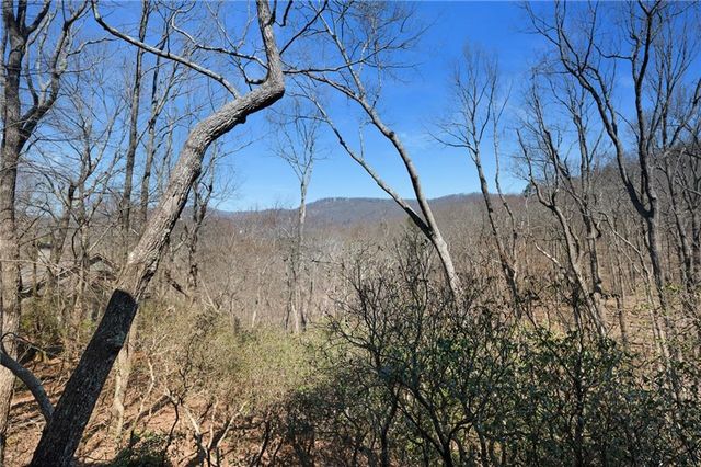316 Tea Berry Lane, Big Canoe, GA 30143
