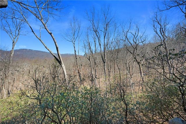 316 Tea Berry Lane, Big Canoe, GA 30143