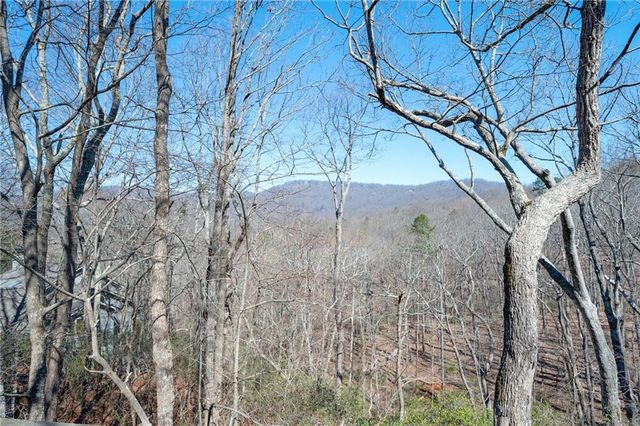 316 Tea Berry Lane, Big Canoe, GA 30143