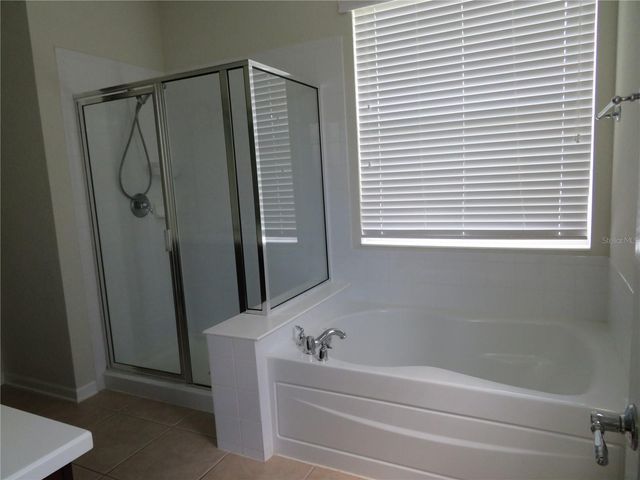 13253 VENNETTA WAY, Windermere, FL 34786