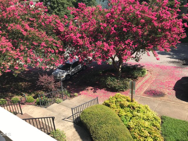 1521 Creekwood Court 203, Raleigh, NC 27603