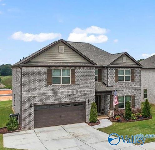 255 Paladin Street, New Market, AL 35761