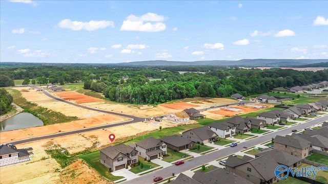 255 Paladin Street, New Market, AL 35761