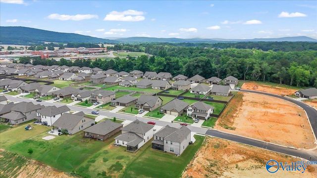 255 Paladin Street, New Market, AL 35761