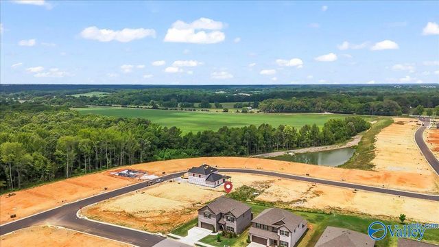 255 Paladin Street, New Market, AL 35761