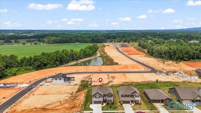 255 Paladin Street, New Market, AL 35761